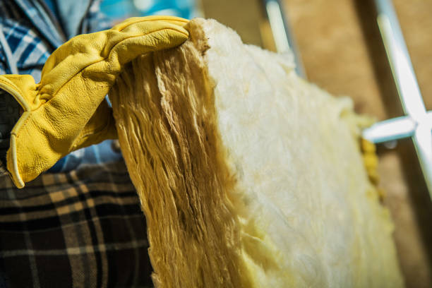 Best Cellulose Insulation  in Clive, IA