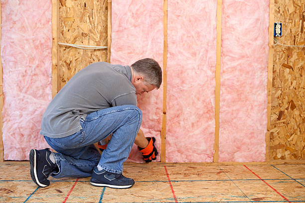 Best Blown-in Insulation  in Clive, IA