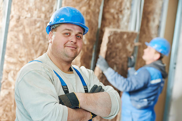 Best Residential Insulation Services  in Clive, IA